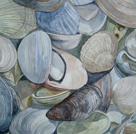 Schelpenpracht geschilderd door Frits Hoitsema KUNSTSCHILDER